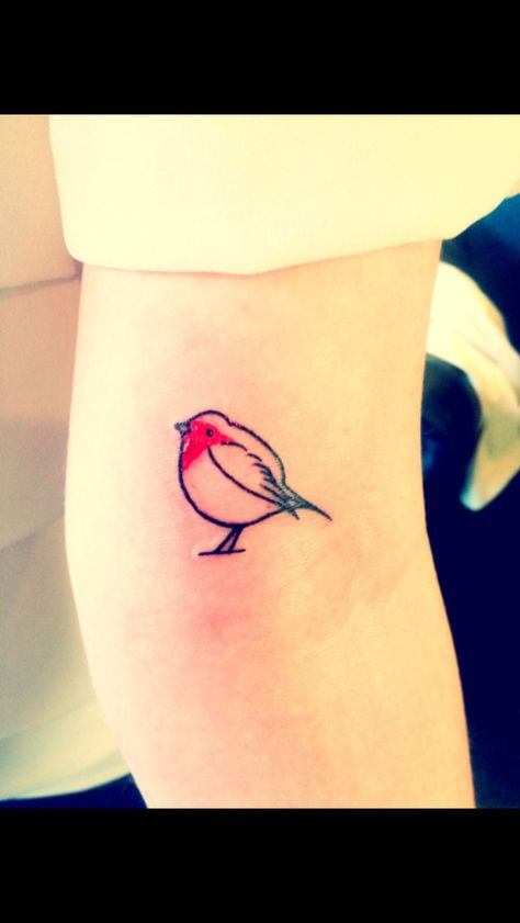 Red Bird Tattoo, Robin Bird Tattoos, Bird Tattoos Arm, Robin Tattoo, Simple Bird Tattoo, Small Bird Tattoos, Little Bird Tattoos, Red Bird Tattoos, Tiny Bird Tattoos