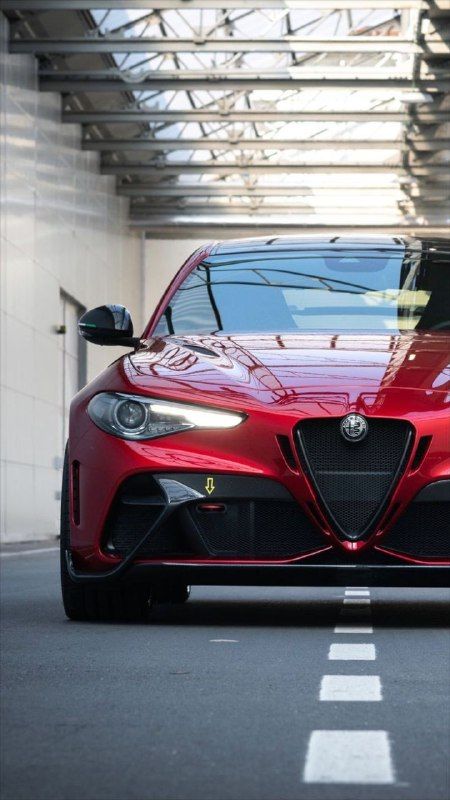 Alfa Romeo Giulia Quadrifoglio Wallpaper, Alfa Romeo Giulia Wallpaper, Wallpaper Mobil, Alfa Romeo Giulia Gta, Alfa Romeo Giulia Quadrifoglio, Italian History, Turbo Charged, Skyline R34, Pagani Huayra