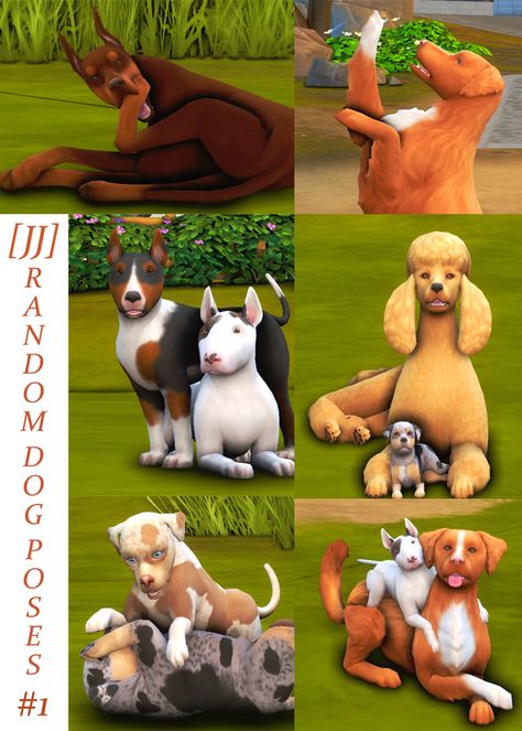 Sims 4 Pets Mod, Sims 4 Couple Poses, Sims Pets, Sims 4 Family, Sims 5, Tumblr Sims 4, Dog Poses, Sims Four, Sims 4 Cc Packs