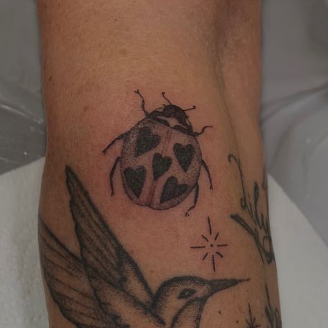 Flowers With Ladybugs Tattoo, Ladybug With Hearts, Ladybug With Heart Spots Tattoo, Ladybug Tattoo American Traditional, Ladybug With Hearts Tattoo, Heart Ladybug Tattoo, Ladybug Heart Tattoo, Realistic Ladybug Tattoo, Ladybug Tattoo Stencil