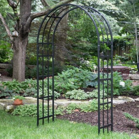 Border Concepts 7 ft. Colchester Garden Arch Arbor - Black Pergola Plans Roofs, Arch Arbor, Iron Pergola, Iron Arch, Garden Arch Trellis, Arch Trellis, Pergola Garden, Fall Garden Vegetables, Garden Arches