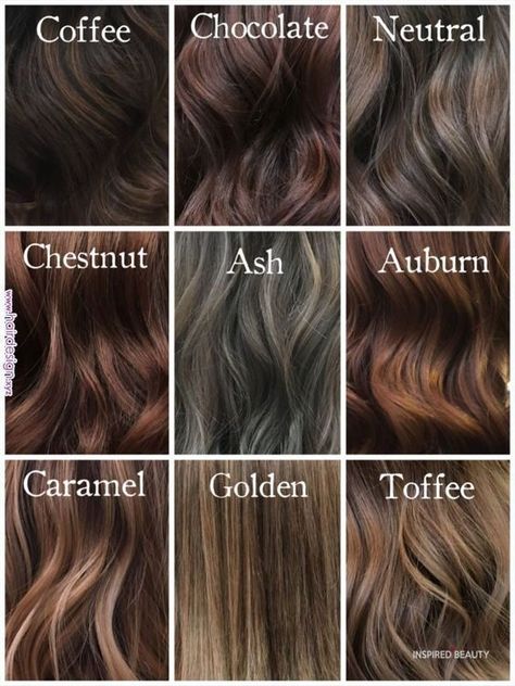 Hair Color Ideas For Brunettes That You Want To See - Inspired Beauty Different Shades Of Brown Hair, Shades Of Brown Hair, Shades Of Brunette, Different Shades Of Brown, Coffee Hair, Chestnut Hair, Brown Hair Shades, Chocolate Brown Hair Color, Ash Brown Hair