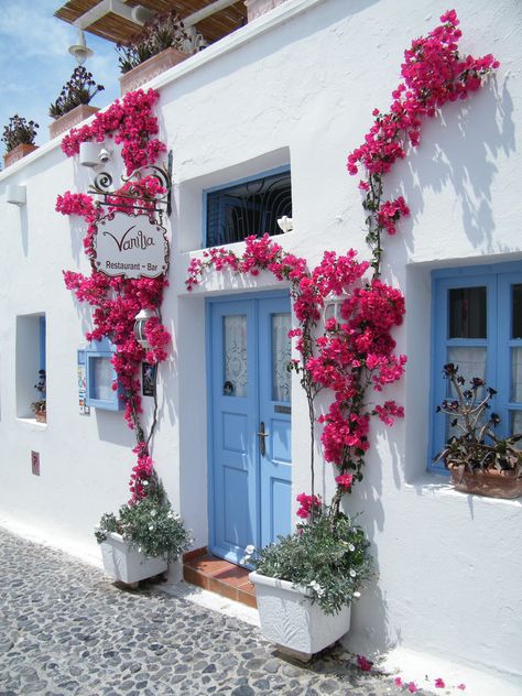 Greek Bougainvillea, Porch Painting Ideas, Greek Garden Ideas, Porch Paint Ideas, House Front Garden, Front Garden Design Ideas, Canva Colors, Greek Cafe, Porch Fence