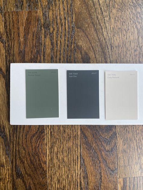 Pewter Green Mood Board, Pewter Green And Iron Ore, Iron Ore Complimentary Colors, Sherwin Williams Pewter Green, Gray Basement, Essex Green, Pewter Green, Black Color Palette, House Color Palettes