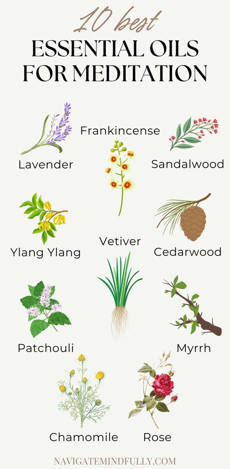 best essential oils for meditation Diy Essential Oil Blends, Top Essential Oils, Stressful Job, Yl Oils, Plant Based Whole Foods, Diy Essentials, Best Meditation, Herbal Healing, Holistic Lifestyle