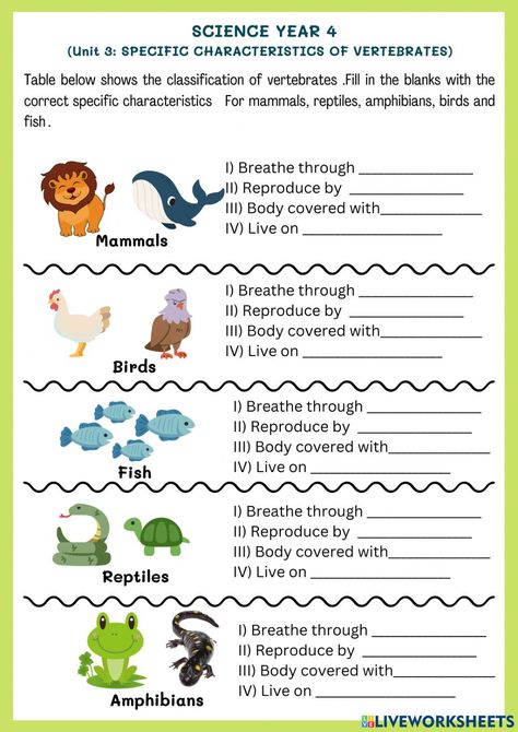 Vertebrates Worksheets, Vertebrates And Invertebrates Worksheets, Classification Of Vertebrates, Mammals Worksheet, Types Of Vertebrates, Animal Classification Worksheet, Evs Worksheet, Create Worksheets, Classifying Animals