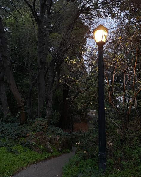 Berkley Aesthetic, Berkeley California Aesthetic, College Winter Aesthetic, California Fall Aesthetic, Uc Berkeley Aesthetic, Berkeley Aesthetic, California Autumn, Berkeley Law, Cozy Rain