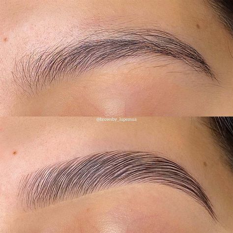 Is Brow Lamination Safe? Possible Risks & Questions Answered Brow Lamination Sparse Brows, Eyebrow Lamination Shapes, Lamented Eyebrows, Brow Lamination Styles, Brown Lamination Before And After, Eye Brown Lamination, Getting Brows Done, Brown Lamination And Tint, Eye Brows Lamination