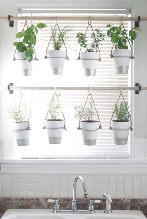 Indoor Herb Garden Diy, Window Herb Garden, Kebun Herbal, Taman Diy, Hanging Herb Garden, Hanging Herbs, Jardim Diy, Herb Garden In Kitchen, Diy Herb Garden