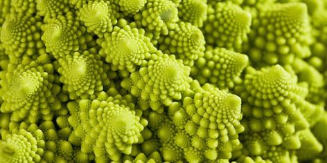 Fibonacci Number, Romanesco Broccoli, Broccoli Pasta Recipe, Vegetable Drawer, Unique Vegetables, Broccoli Pasta, Common Themes, Green Vegetables, Great Conversation Starters