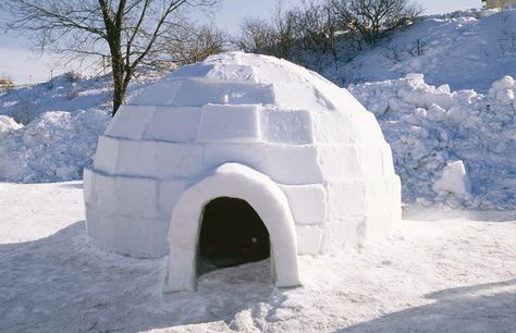 An igloo, also known as snow house, is a form of shelter built entirely of snow. The primary material used in constructing an igloo is compressed snow since solid ice is known to be a poor insulator. The compressed snow gets shaped into blocks. These blocks are then arranged to form a dome. On the inside, the snow house is terraced so people sleep at the uppermost level, leaving the bottom middle area for working and setting the fire. How does an igloo Keep you Warm? Igloo Building, Igloo House, Snow Fort, Landscaping Around Trees, Inuit People, Pole Nord, Brick Molding, Building Techniques, Family Handyman