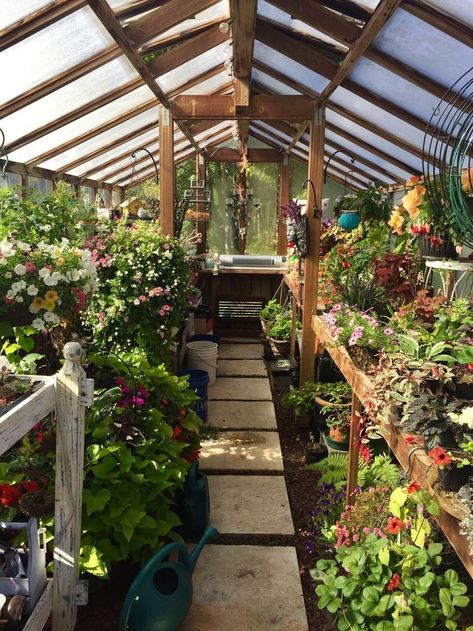 Microgreens Greenhouse, Underground Greenhouse, Simple Greenhouse, Garden Prepping, Greenhouse Interiors, Home Greenhouse, Backyard Greenhouse, Greenhouse Plans, Diy Greenhouse