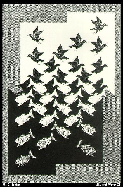 Escher Drawings, Sky And Water, M C Escher, Mc Escher, Bird Poster, National Gallery Of Art, Op Art, Diy Frame, Canvas Home