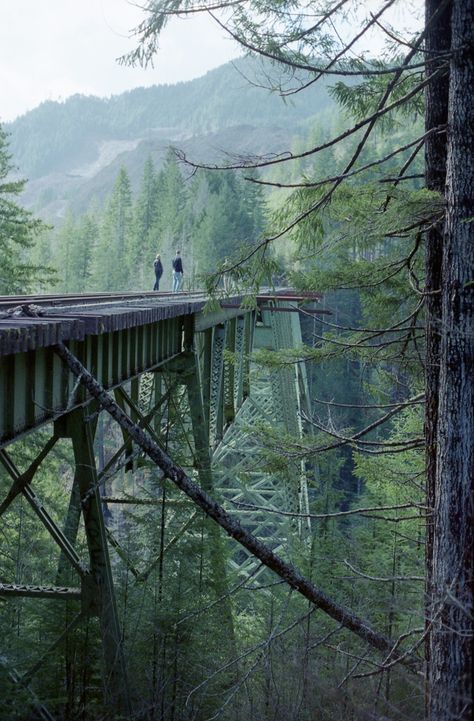 Vance Creek Bridge: How America's 2nd tallest bridge became a viral sensation Creek Bridge, Apocalypse Aesthetic, A Bridge, 판타지 아트, Parkour, Nature Aesthetic, Pretty Places, Abandoned Places, In The Woods