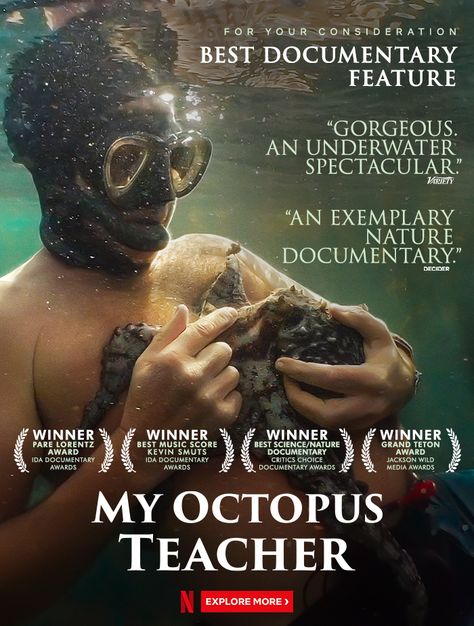 After years of swimming in the freezing ocean at the tip of Africa, Craig Foster meets an unlikely teacher: a young octopus who displays remarkable curiosity. After visiting her den every day for months he eventually wins the animal's trust and they develop a never-before-seen bond between human and wild animal. My Octopus Teacher, Teacher Posters, Documentary Movies, Foreign Film, Teacher Books, Movie Gifs, Tv Movies, Good Movies To Watch, Movie List