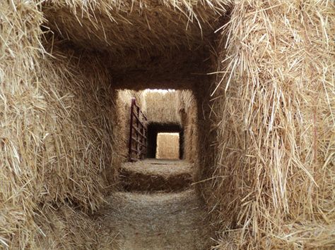 Lps Moodboards, Hay Maze, Natural Playground Ideas, Landscape Installation, Haunted Maze, 3d Maze, Public Playground, Playground Ideas, Dog Yard