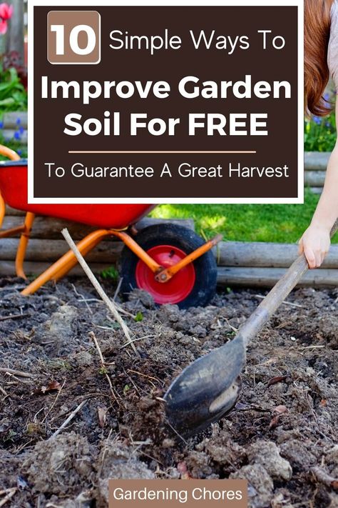 Here are 10 down-to-earth methods of Improving garden soil that won’t break your back, and create high-yielding and beautiful gardens of all shapes and sizes. Healthy Garden Soil, Frugal Gardening, Healthy Soil, Gardening 101, Healthy Garden, Soil Health, Healthy Environment, Garden Soil, Organic Matter