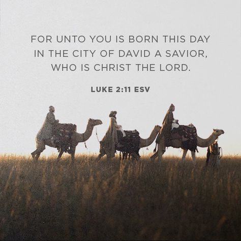 Luke 2:10-11, Luke 2 11, Luke 2 10, Advent Devotionals, The Night Before Christmas, Great Love, Inspire Me, Verses, Jesus