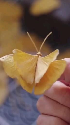 Crafts Butterfly, Dekoratívne Vence, Leaf Butterfly, Butterfly Video, Ginkgo Leaves, Video Nature, Leaf Crafts, Butterfly Crafts, Autumn Crafts