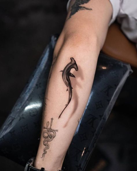 Hammerhead Tattoo, Hai Tattoo, Hammerhead Shark Tattoo, Shadow Tattoo, Tatuagem Masculina Pequena, Petit Tattoo, Circle Tattoo, Shark Tattoo, Ocean Tattoos