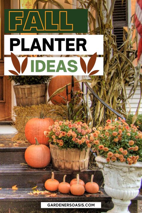 12 Front Porch Fall Planter Ideas | Outdoor Decorating Planter Ideas Outdoor, Fall Planter Ideas, Fall Potted Plants, Mums And Pumpkins, Shade Plants Container, Full Sun Container Plants, Fall Container Plants, Fall Pots, Front Door Planters