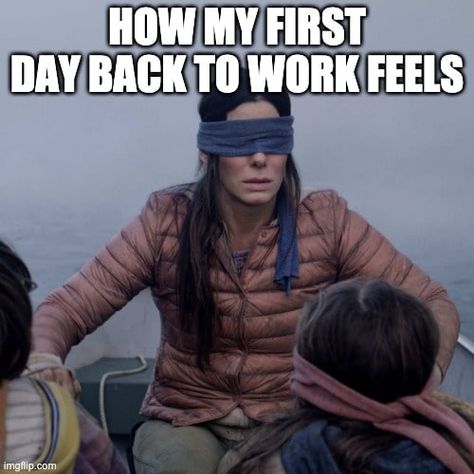 sandra bullock blindly rowing how my first day back to work feels Funny Motivational Memes, Sunday Meme, Mortgage Humor, Class Memes, Jesse Ventura, Motivational Memes, Rad Tech, Bird Boxes, Learn German