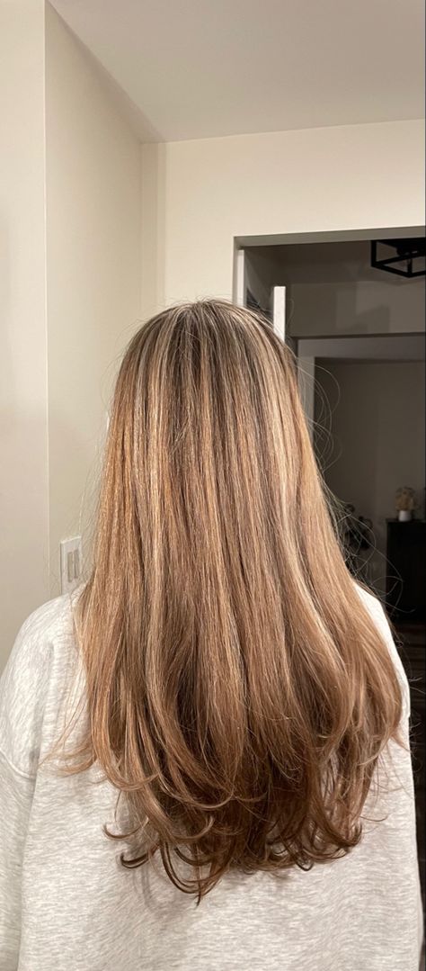 Half Blonde And Half Brown Hair, Caramel Highlights On Dirty Blonde, Sliced Highlights Brown Hair, Honey Blonde Half Head Highlights, Layered Dark Blonde Hair, Brown Hair With Half Head Highlights, Half A Head Of Highlights On Brown Hair, Half Highlights Blonde, Partial Highlights On Blonde Hair