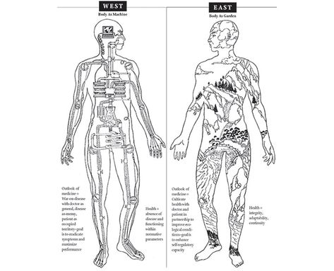 Body As Garden or Machine: The Difference Between Western + Eastern Medicine? Eastern Body Western Mind, Body Psychology, Holistic Nursing, Ayurveda Lifestyle, Eastern Medicine, Holistic Education, Chalk Talk, Western Medicine, Chinese Herbs