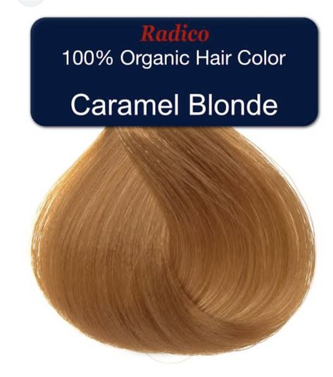 Caramel Blonde Hair Color, Organic Hair Color, Caramel Blonde, Caramel Hair, Honey Blonde Hair, Pretty Hair Color, Elegant Dresses Classy, Princess Hairstyles, Dye My Hair