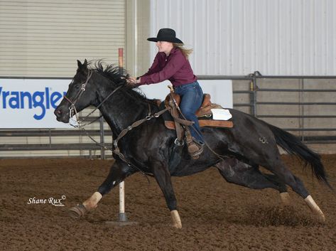 Teaching a Horse to Pole Bend - AQHA Black Barrel Horse, Pole Bending Horse, Horse Disciplines, Barrel Racing Training, Mustang Makeover, Working Cow Horse, Pole Bending, Western Horses, Horse Exercises