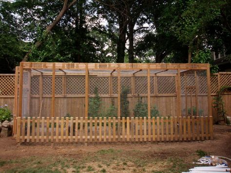 Squirrel Proof Garden, Hgtv Garden, Fencing Ideas, Screen House, Stud Walls, Garden Pests, Dog Runs, Garden Photos, Green Rooms