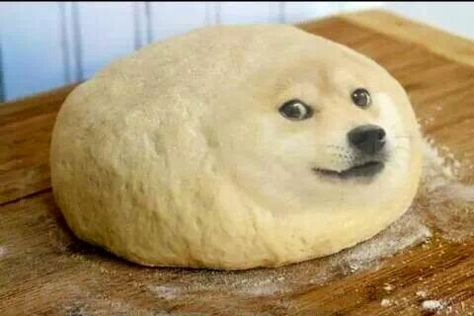 Dough ball A Dog, Dough, Bread, Dogs