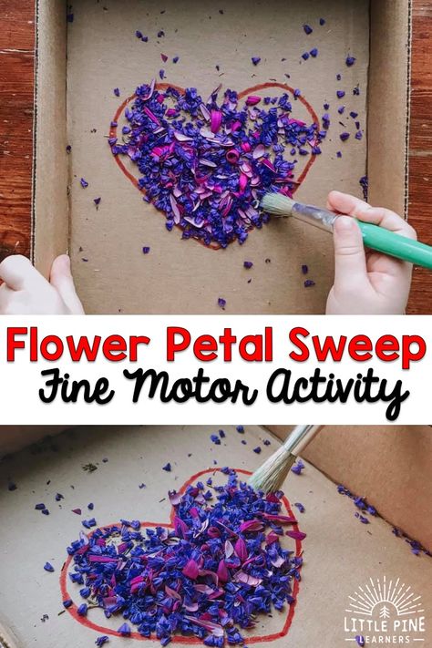 Flower Petal Sweep {A Fine Motor Activity} • Little Pine Learners Mothers Day Fine Motor Activities, Herbs Preschool Activities, Flower Activities For Infants, Spring Fine Motor Activities Toddlers, Flowers Toddler Activities, Toddler Garden Activities, Garden Fine Motor Preschool, Plants Fine Motor Activities, February Fine Motor Activities