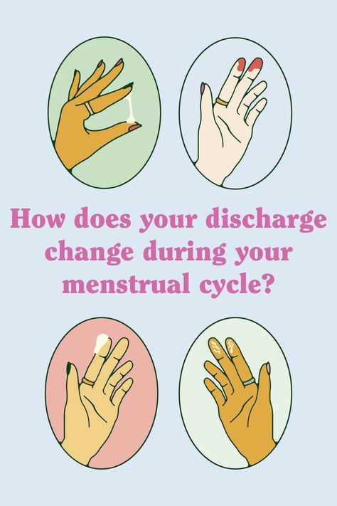 Menstrual Phase, Too Much Sugar, Healthy Book, Eating Too Much, Healthy Plan, Feminine Health, Healthy Advice, Simple Health, Health Planner