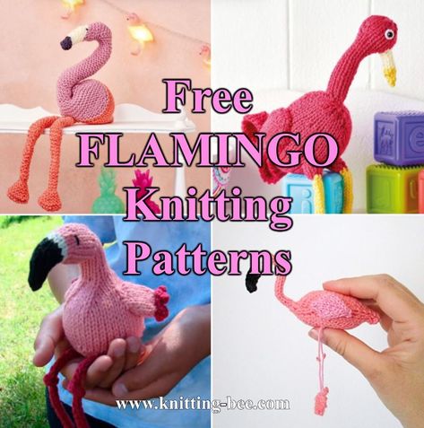 Free Flamingo Knitting Patterns that are a Must Have! (4 free knitting patterns) Pink Flamingo Craft, Sewn Toys, Knit Amigurumi, Knit Animals, Easy Scarf Knitting Patterns, Knit Purl Stitches, Flamingo Craft, Aran Knitting Patterns, Knit Toys