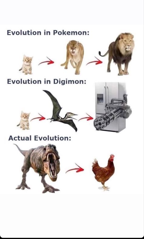 Pokemon Evolution vs Digimon Evolution vs Actual Evolution Digimon Memes, Digimon Evolution, Pokémon Evolution, Pokemon Vs Digimon, Biology Memes, Science Physics, Astronomy Science, Au Ideas, Friend Pictures