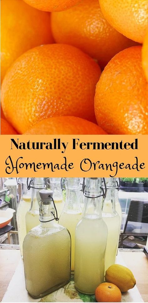 Naturally Fermented Orangeade – Almost Off Grid Make Greek Yogurt, Nourishing Traditions, Fermented Drink, Nourishing Foods, Natural Yogurt, Campfire Food, Fizzy Drink, Oranges And Lemons, Fermented Foods