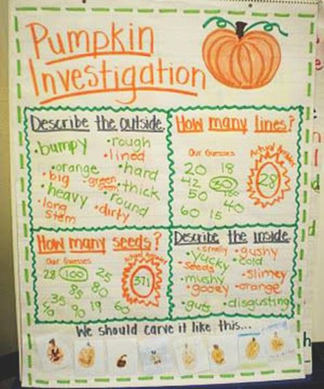 26 Halloween Anchor Charts Your Students Will Love Pumpkin Investigation, Pumpkin Lessons, Pumpkin Science, Pumpkin Unit, October Classroom, Fall Science, Pumpkin Activities, Fall Lessons, Fall Kindergarten