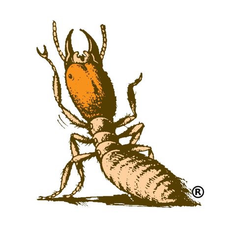 Termite Registered Trademark Logo For Fumapest Termite & Pest Control Termite Tattoo, Trademark Logo, Pest Control, Body Art Tattoos, Body Art, Insects, Art Drawings, Illustrations, Tattoos