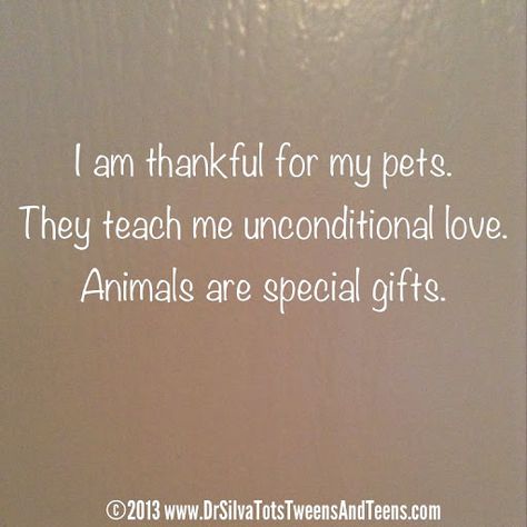 Pet Affirmations, Husband Manifestation, Dream Future Life, I Am Attracting, My Dream Future, Life Affirmations, Helping Animals, Health Affirmations, Mind Heart