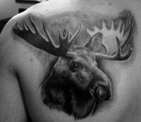 Top 14+ Inspiring Moose Tattoo Ideas and Designs | PetPress Moose Skull, Modern Body Art, Moose Tattoo, Tattoo Animal, Deer Family, Tattoo Ideas For Women, Tattoo Designs For Men, 3d Tattoos, Skull Tattoo Design