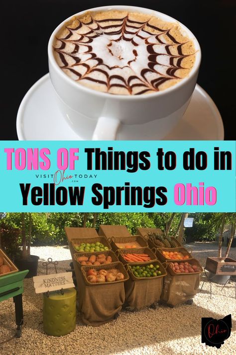 Yellow Springs Ohio Things To Do, Yellow Springs Ohio, Ohio Vacations, Ohio Travel, Greene County, Yellow Springs, Free Thanksgiving, Dayton Ohio, Family Friendly Activities