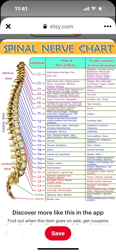 Spinal Nerve Function, Ram Hanuman, Outer Ear, Optic Nerve, Sri Ram, Spinal Nerve, Hay Fever, Pineal Gland, Hearing Loss