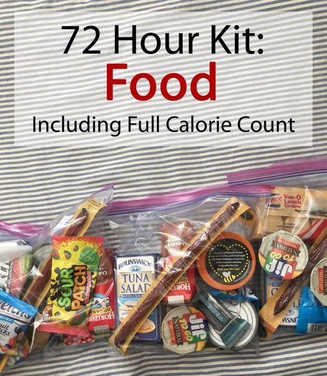 72 Hour Kit Food, Emergency Meals, 72 Hour Kit, Emergency Food Kit, Preparedness Ideas, 72 Hour Emergency Kit, Emergency Go Bag, Emergency Preparedness Food Storage, Emergency Planning