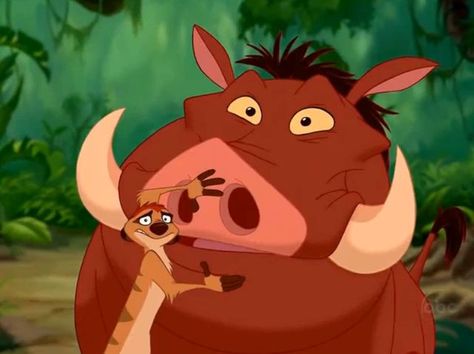 Disney Amor, Disney Duos, Lion King 1, Disney Best Friends, Best Friend Quiz, Friend Quiz, Timon And Pumbaa, Jean Reno, Friend Cartoon