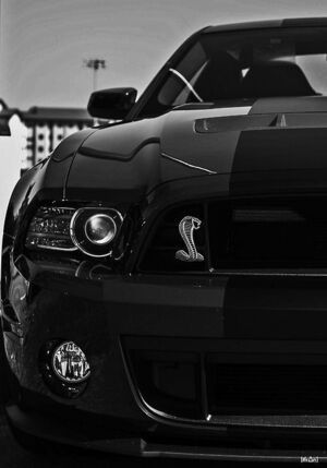 Siyah Mustang, Black Mustang Gt, Black Mustang, Мотоциклы Harley Davidson, Mustang Wallpaper, Camaro Car, Mustang Gt500, Shelby Mustang, Ford Mustang Car