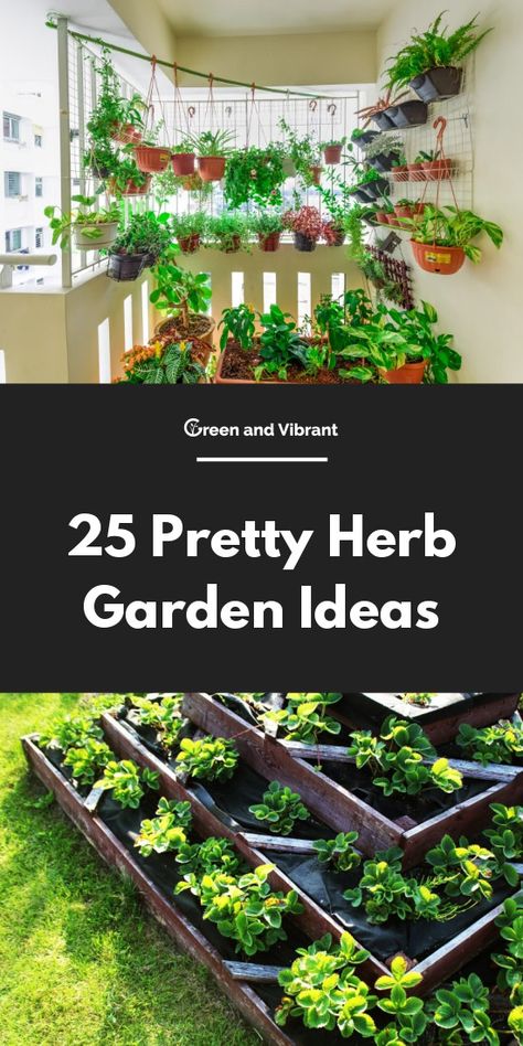 Pretty Herb Garden Ideas Tiered Herb Garden Ideas Outdoor, Layered Herb Garden, Herbs In Garden Ideas, Herb In Kitchen Ideas, Creative Herb Garden Ideas, Best Pots For Herbs, Mini Herb Garden Ideas, Outdoor Herb Garden Design Layout, Herb Garden Designs Layout