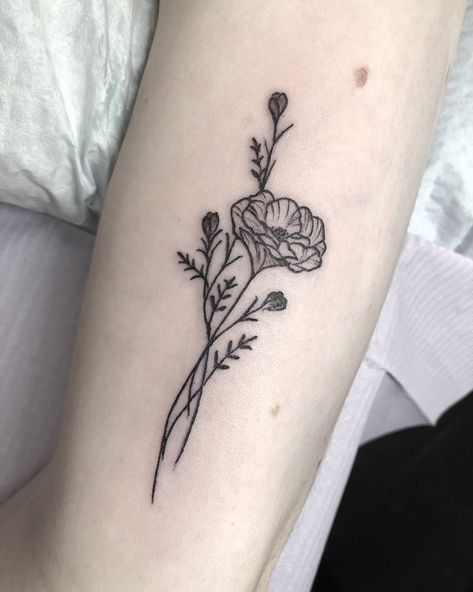 Primrose Tattoo Company on Twitter: "Wildflowers https://t.co/SNt3RxAL39" / Twitter Poppy Flower Tattoo Small, Simple Poppy Tattoo, Poppy Tattoo Ideas, California Poppy Tattoo, Wildflowers Tattoo, Poppy Flower Tattoo, Simple Flower Tattoo, Poppy Tattoo, Poppies Tattoo