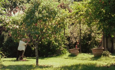 Cmbyn Aesthetic, Somewhere In Northern Italy 1983, Luca Guadagnino, Charlotte York, Pier Paolo Pasolini, Sufjan Stevens, Call Me By Your Name, Italy Summer, Italy Aesthetic