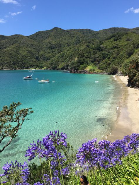 Oke Bay, Bay of Islands NZ Bay Of Plenty New Zealand, Bay Of Islands New Zealand, Ao Nang Beach, Koh Samui Beach, Railay Beach, Bay Of Islands, New Zealand Landscape, Bay Of Plenty, Koh Chang